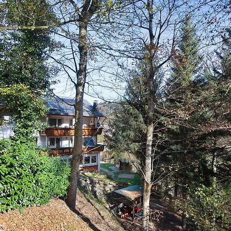3 Apartment Todtmoos